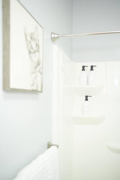 Cozy Apartment 2Nd 10Min Walk Downtown And City View Providence Eksteriør billede